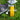 Tuinsteiger Wielen - Set 4 Stuks