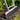 Laddermat 125 cm